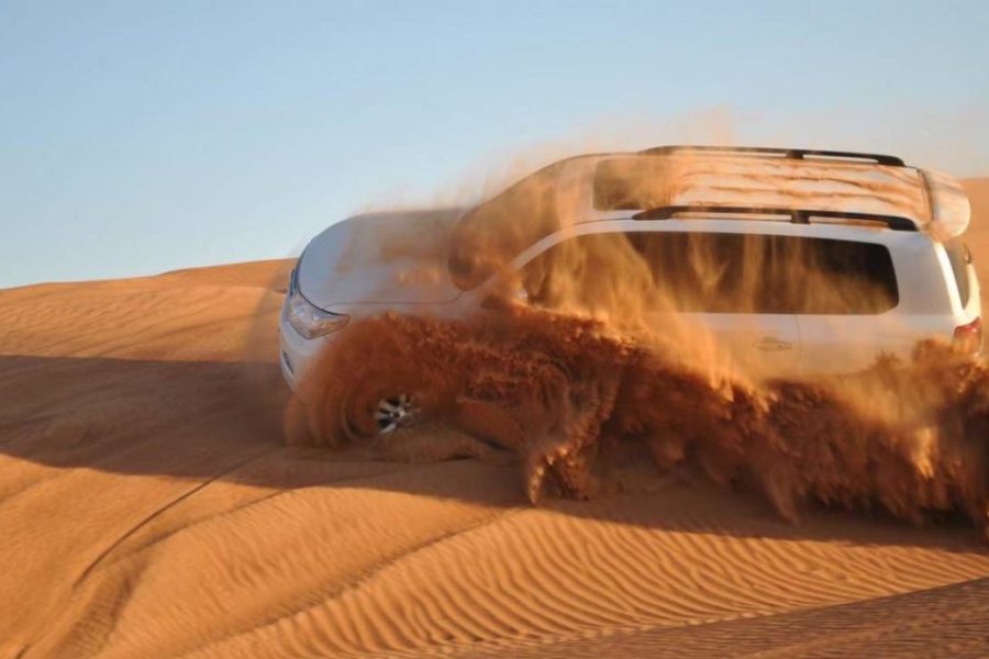Desert Safari