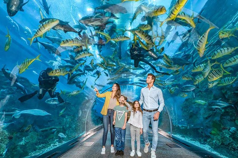 Dubai Mall Aquarium & Underwater Zoo