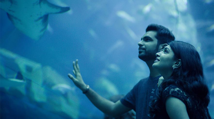 Dubai Mall Aquarium & Underwater Zoo